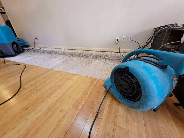 Professional Water Extraction technician working in Forestdale, MA